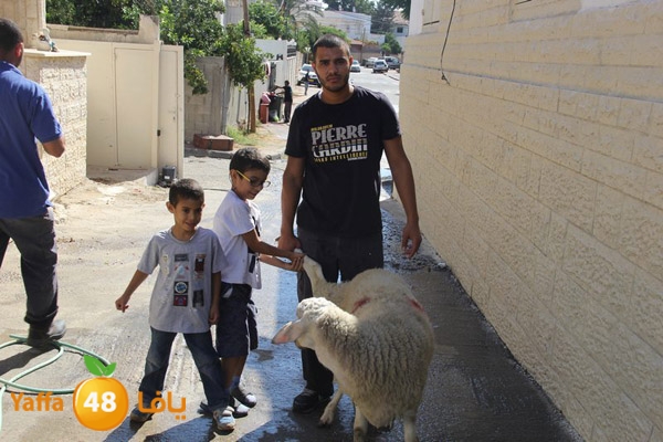 dabe7 ludj31 (39).JPG